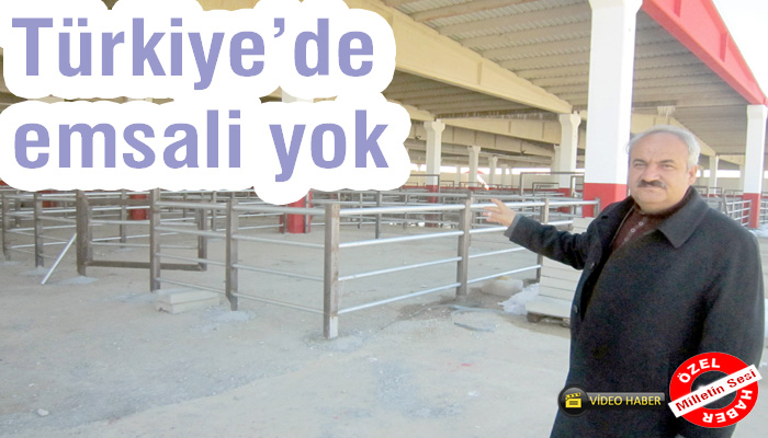 12 milyon TL’ye hayvan pazarı