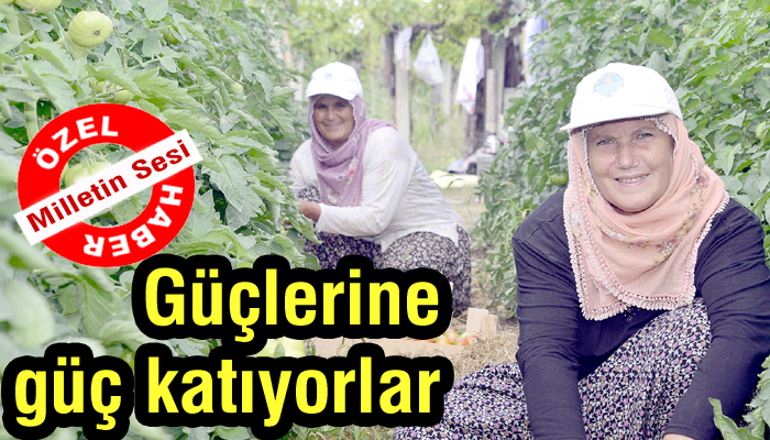 Güçlendikçe güçleniyorlar