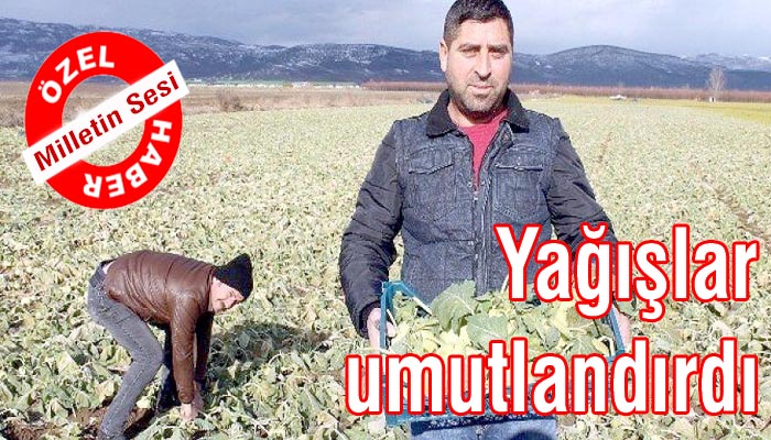 Yağışlar umutlandırdı!