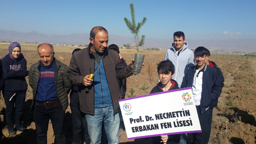 Fen Lisesi öğrencileri ağaç dikti