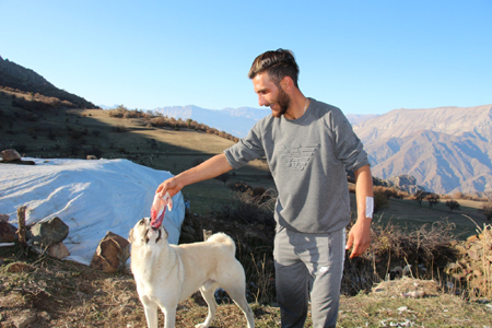 Ayı saldırısından kurtaran köpeklerine yemek ziyafeti çekti