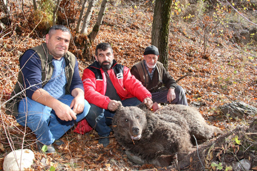 Erzurum’da boz ayıyı vurdular