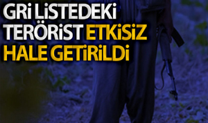 Etkisiz hale getirilen ‘Hejar’ kod adlı terörist 500 bin TL ödülle aranıyormuş