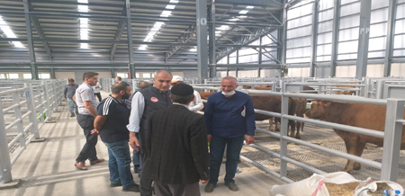 Yeni hayvan pazarı ziyaret edildi