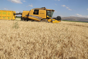 Tarım’da Erzurum farkı