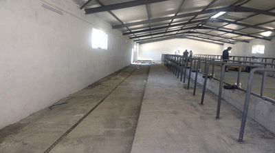 Üreticinin ihtiyacı ahırlar bir bir teslim ediliyor