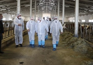 Embriyo transferi projesinde süreç tüm hızıyla sürüyor