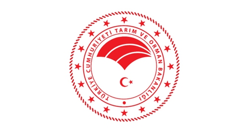 ARAÇ KİRALAMA HİZMETİ ALINACAKTIR