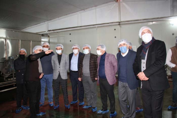 Dut pekmezi fabrikalarını incelediler