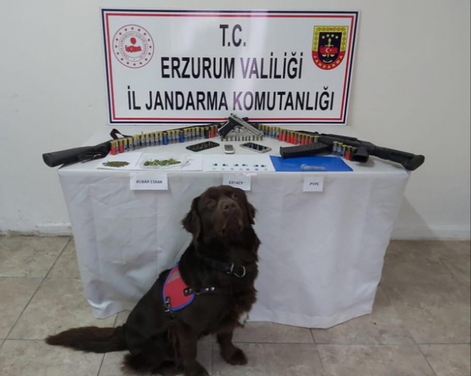 Erzurum’da uyuşturucu operasyonu: 1 tutuklama