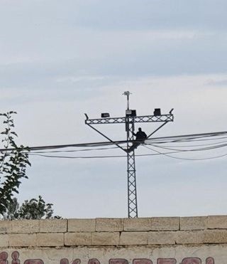 Atlamak için direğe çıktı, valinin gelmeyeceğini öğrenince indi