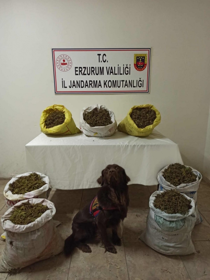 Erzurum’da 45 kilogram kubar esrar ele geçirildi