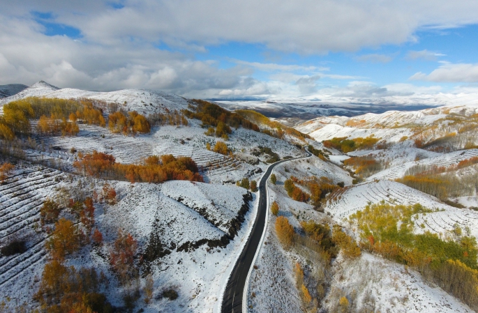 Erzurum ormanlarında kış ve sonbaharın renkleri görsel şölen yaşattı