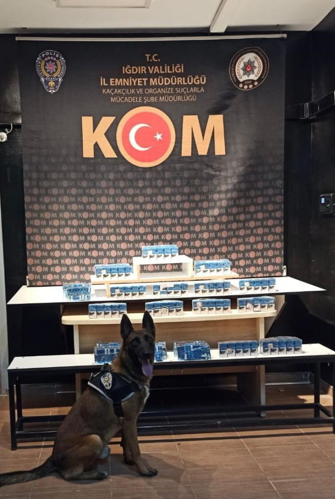 Iğdır’da 288 paket kaçak sigara ele geçirildi