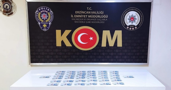 Sahte para operasyonunda 1 kişi tutuklandı