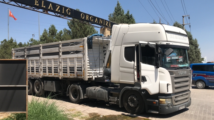 Tır şoförü direksiyon başında ölü bulundu