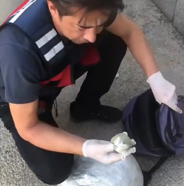 Uyuşturucu taciri, narkotik köpeğinden kaçamadı