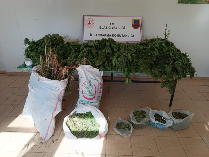 Elazığ’da 20 kilo esrar ele geçirildi: 1 gözaltı