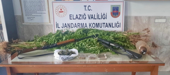 Elazığ'da 354 kök kenevir ele geçirildi, 1 şüpheli yakalandı