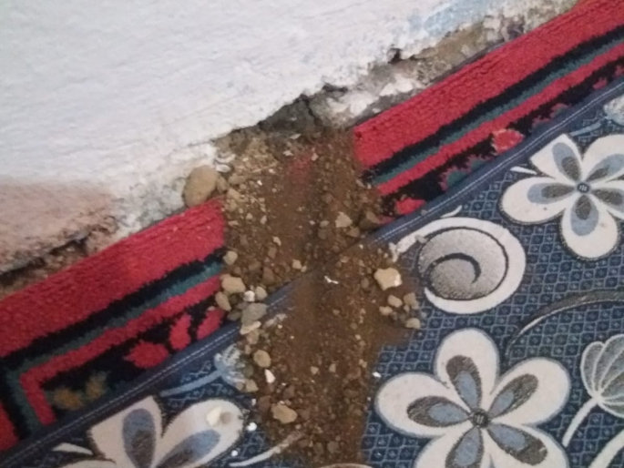 Yılanların yuva yaptığı evlerinde uyuyamıyorlar