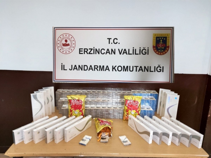 Erzincan'da 85 tarihi eser ve sikke ele geçirildi