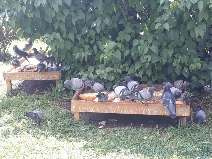 SOĞUK HAVALARDA ONLARI UNUTMAYALIM