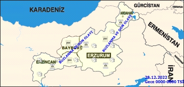 ERZURUM BUZ KESTİ