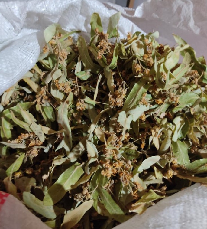 AŞIRI SOĞUKLAR AKTARLARA YARADI