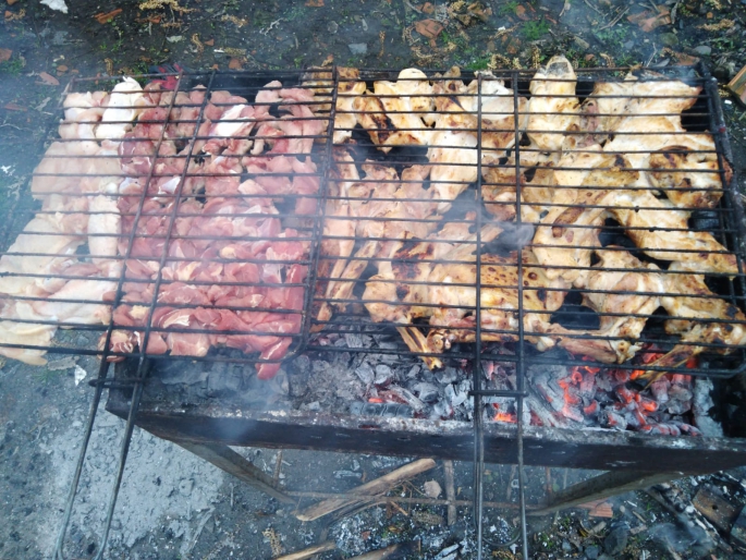 YAĞIŞLAR PİKNİKÇİLERE ENGEL OLDU