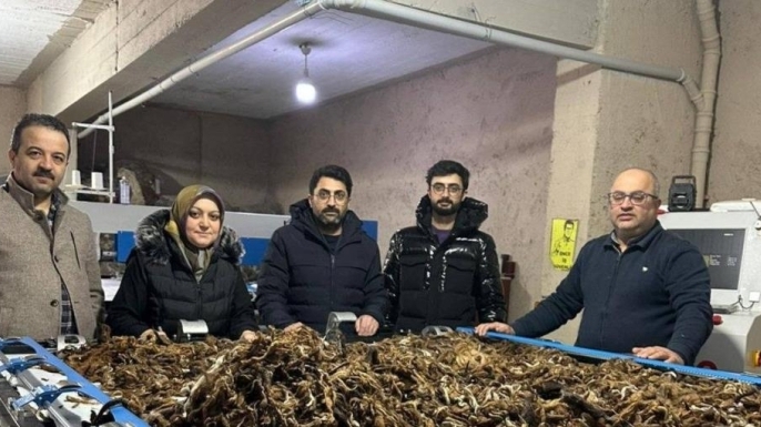 Atık yünlere yeşil dönüşüm