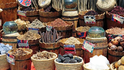 Aktarlarda kış hareketliliği başladı