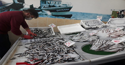 Balık satışları başladı
