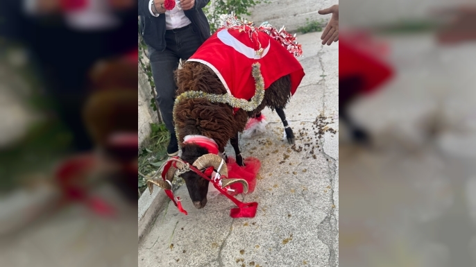 Bayram öncesi renkli görüntüler