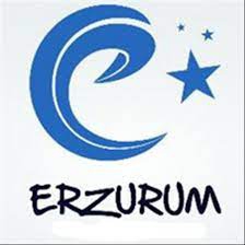 DOĞALGAZ DÖNÜŞÜM İŞİ YAPTIRILACAKTIR