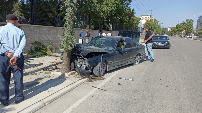 Elazığ’da otomobil ağaca çarptı: 1 yaralı