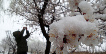 Erzurum OBM doğayı yeşertmeye devam ediyor