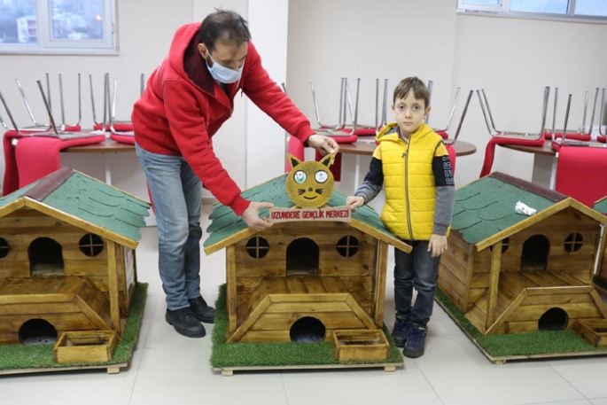 Gönüllüler sokak hayvanlarına ahşaptan ev yaptılar