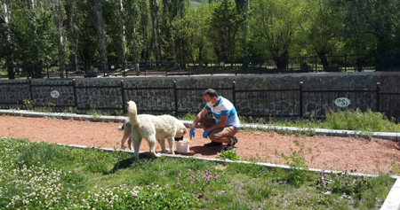 Görev yeniden vatandaşlarda
