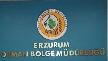İŞ SAĞLIĞI VE GÜVENLİĞİ HİZMET ALIMI YAPILACAKTIR