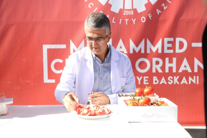 MHP Genel Başkan Yardımcısı Aydın’dan Jeotermal Domates Seralarına tam puan