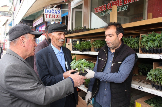 Oltu’da fide sezonu başladı