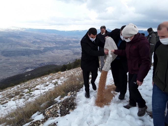 Olur’da yaban hayatı koruma amaçlı doğaya yem ve ot bıraktılar