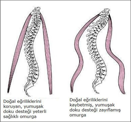 Omurga yetmezliğine dikkat