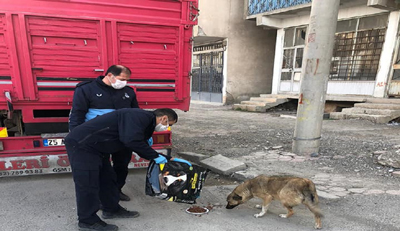 Onları yalnız bırakmayın