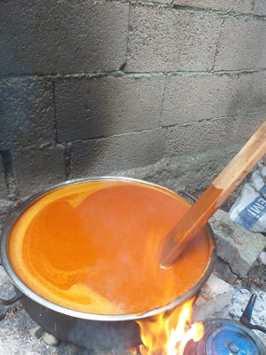 Pandemiye Kuşburnu önlemi