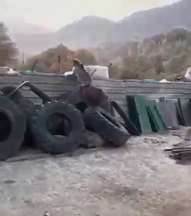 Yavru ayılar sanayi sitesine indi