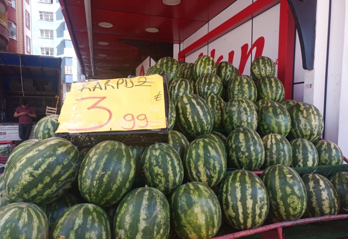 YAZ MEYVELERİ RAĞBET GÖRÜYOR