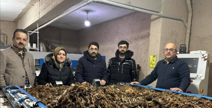 Atık yünlere yeşil dönüşüm